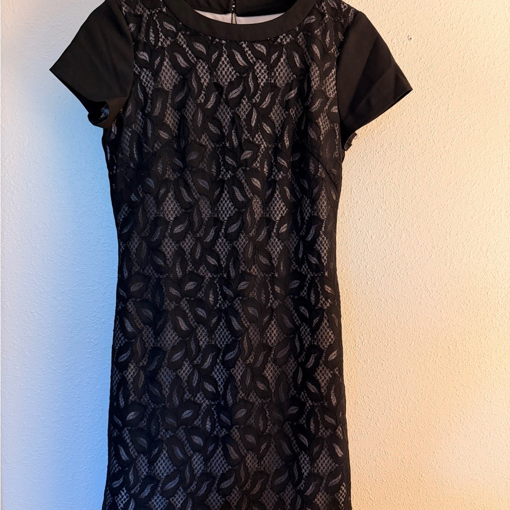 White House Black Market Black Lace Mini Dress